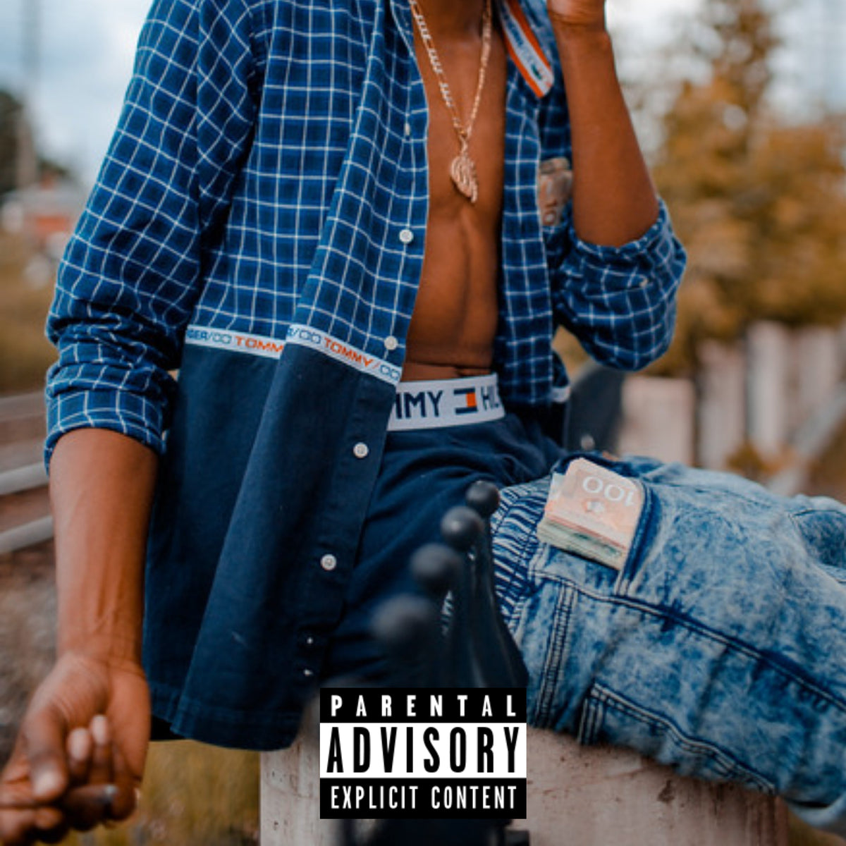 Raz Fresco "Deluxe Hilfiger Regalia" Digital Album - back