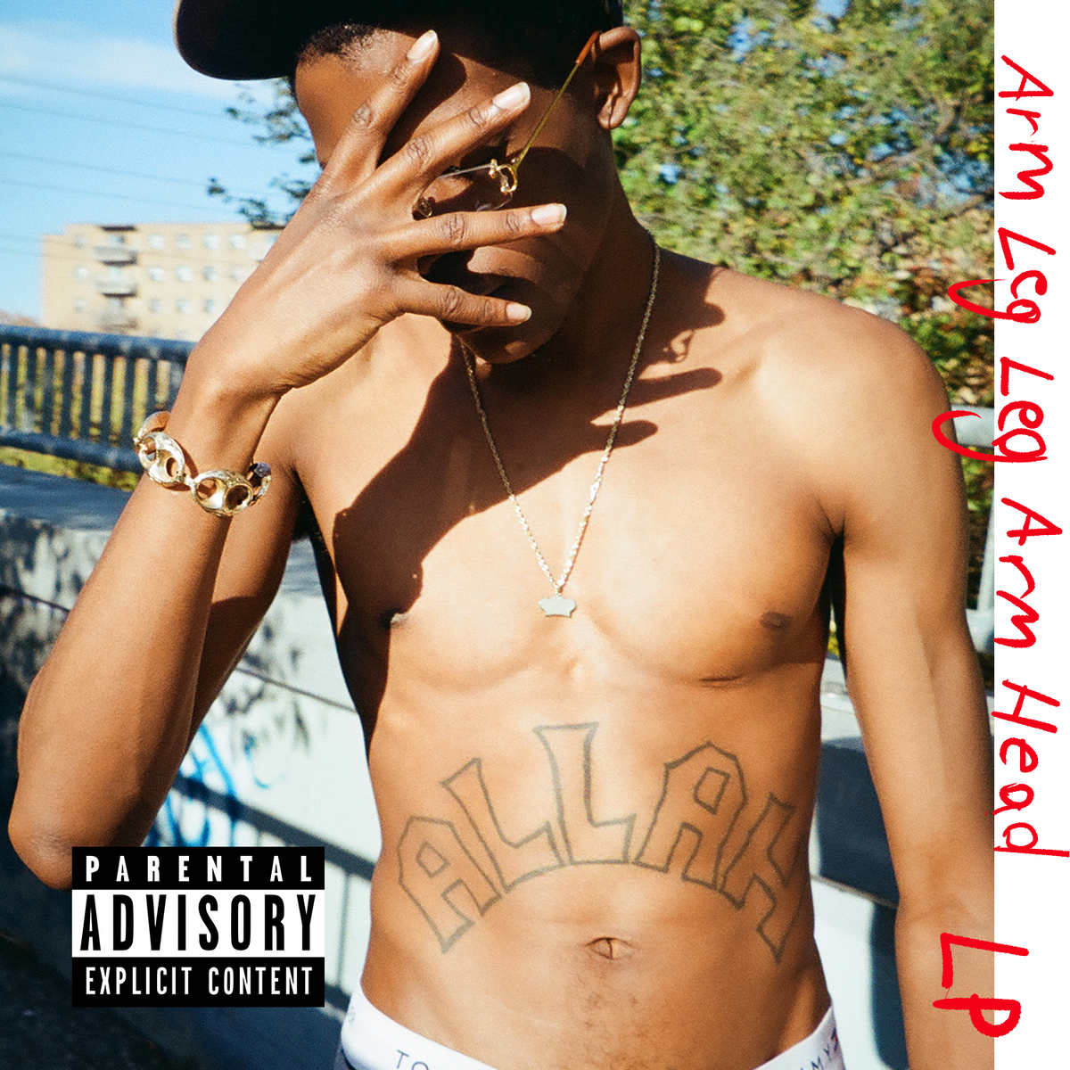 Arm Leg Leg Arm Head LP - front